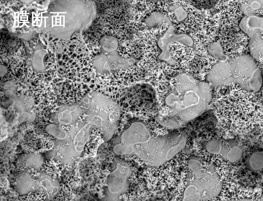 大香蕉伊人影视烧结管式膜电镜照片